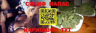 спиды Краснознаменск